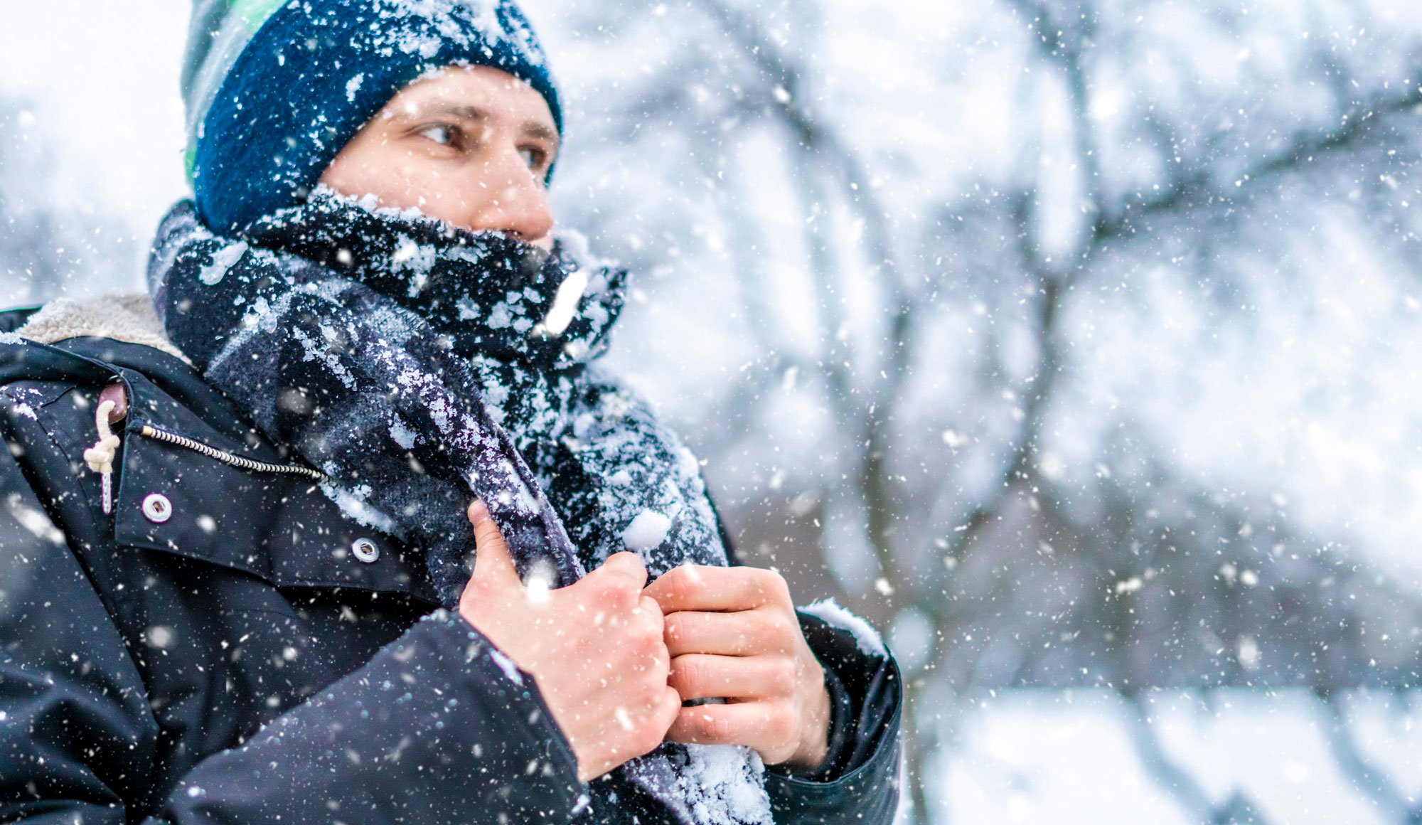 The Great Escape Plan from Winter and Cold